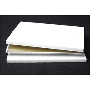 CIFbuy Cartello Funzionale in Metallo 'Proibito l'Ingresso' per Videosorveglianza CCTV, Decorazione Casa, Giardino e Prato, TikTok per Servizio Ritiro Temu - Product Image 3