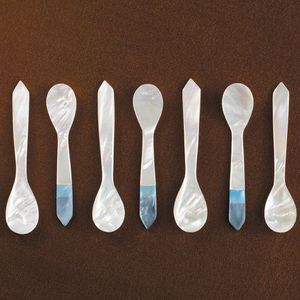 Cuchara de caviar de nácar al por mayor, vajilla de lujo, cuchara de concha hecha a mano para cenas elegantes y sets de regalo - Product Image 1
