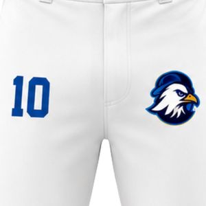 Pantalones de Béisbol Blancos con Número 10 Azul Rey y Logotipo de Águila Bordado en la Parte Delantera, Corte Ajustado para Hombre Adulto, Todas las Temporadas - Product Image 5