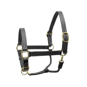Harnais de cheval en cuir noir avec boucles en laiton et surpiqûres blanches pour l'équitation et l'entraînement - Product Image 1