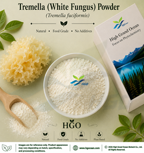 HGO Suministro directo de fábrica de Tremella natural puro (hongo blanco) Polvo fermentado funcional (polvo de frutas o verduras) - Product Image 1