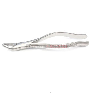 High Quality Manual German Stainless Steel Extracting Forcep American Pattern for Upper Anterior Premolar Teeth Durable Dental - Product Image 6