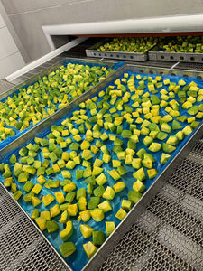KIM MINH Cubos de Aguacate Congelados IQF, Calidad Premium, Origen Vietnam, Estilo Bloque, Fruta Congelada, Caja de 10 kg - Product Image 2