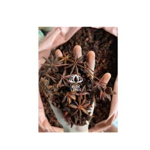 Anís estrellado vietnamita Premium Blue Lotus Bac Giang |   Especias Secas Enteras de Alta Calidad, Contenido Mineral, Sabor Natural |   24 meses - Product Image 1