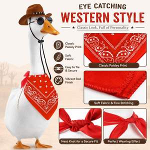 Décoration de jardin : Statue de canard western avec vêtements, chapeau de cowboy, bandana rouge à motifs paisley et lunettes de soleil rondes - Product Image 4