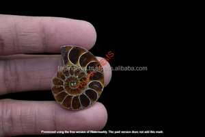 พลอยแอมโมไนต์ธรรมชาติทรงหลังเบี้ย คุณภาพสูง ขายส่งสำหรับทำเครื่องประดับ FAIJAN GEMS รับรองโดยบุคคลที่สาม ราชสถาน - Product Image 2