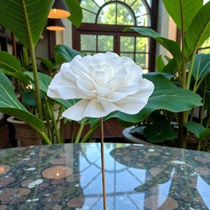 Flores de Madera de Sola Blancas Hechas a Mano y Sostenibles, Tamaño: 8.5 CM, Varilla de Fibra de Planta de Sesbania de Tailandia - Product Image 6