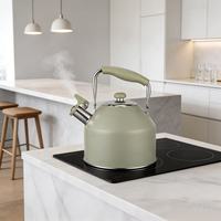 Bouilloire sifflante en acier inoxydable vert mat avec poignée résistante à la chaleur pour cuisinière à induction et à gaz