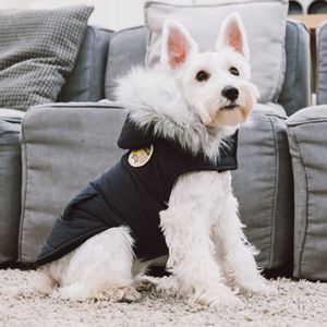 Veste parka en duvet de canard Eskimo Swag pour chien, vêtements pour animaux de compagnie de qualité supérieure - Product Image 6
