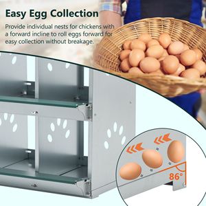 Nido per Galline in Metallo Personalizzabile con 6 Scomparti per la Conservazione delle Uova - Product Image 4