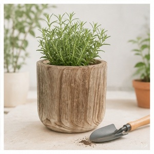 Maceta de Madera Ecológica al por Mayor con Acabado Rústico Quemado, Maceta de Madera Natural para Decoración Moderna de Interiores de Hogar y Oficina - Product Image 4