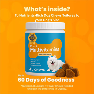 OEM ODM 10-en-1 Multivitamines à croquer pour chiens et chats – Soutien immunitaire, articulations, peau, pelage et digestion – Friandises molles – Vente en gros - Product Image 3