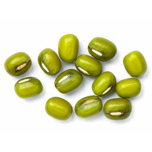 Exportateur de haricots mungo verts frais de la ferme pour les importateurs, les usines alimentaires et les distributeurs de produits agricoles - Product Image 2