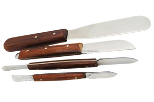 World Precision Surgical Manual Dental Surgical Spatula <b>Set</b> Wooden Handle Stainless Steel Orthodontic Lab Mixing Tools Various - Product Image 6