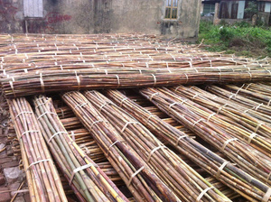 Poteaux en rotin naturel vietnamien, matériau en canne, différentes tailles pour meubles, artisanat et tissage, marque 99GD, modèle Tracy - Product Image 3