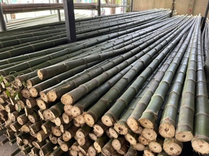 ไม้ไผ่อบแห้งทั้งหมดสำหรับใช้ในการก่อสร้างและตกแต่งบ้านไม้เท้าไม้ไผ่สีเขียวสดบรรจุภัณฑ์แบบกำหนดขนาดได้เอง - Product Image 2