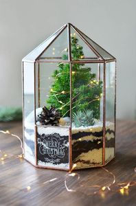 Terrarium géométrique, verre suspendu de grande taille - Product Image 6