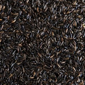 Niger <b>Seed</b> Natural Oil Rich Grain With High Purity Clean Texture And Carefully Selected Export Ready Quality - Product Image 6