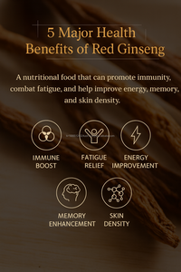 Poudre de bâton de thé énergétique au ginseng rouge coréen 100 paquets de boisson quotidienne à base de plantes vitalité - Product Image 5