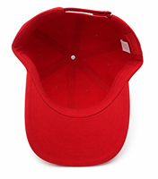 Gorra de Béisbol Personalizada de 6 Paneles con Logotipo Bordado en 3D, Visera Curva, Cierre de Gancho y Bucle, Gorra Casual Premium
