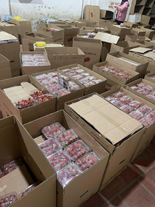 สินค้าขายดี |   สตรอว์เบอร์รีอบแห้งกรอบ ขนมขบเคี้ยวสำหรับอาหารเช้า ซีเรียล วัตถุดิบเบเกอรี่ เวียดนาม - Product Image 6