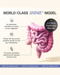 กาแฟผสมเห็ดหางไก่งวงสำเร็จรูป รสกาแฟธรรมชาติ เครื่องดื่มให้พลังงานอย่างนุ่มนวลเพื่อสุขภาพที่ดีในทุกวัน - Product Image 5