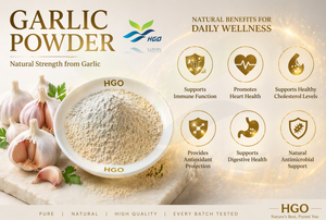 Suministro directo de fábrica de HGO de extracto de ajo natural puro (grado alimenticio) Especificación Allicin 1% - 5% (extracto estandarizado) - Product Image 2
