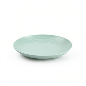 22cm Plastic Disposable <b>Tray</b> Disposable Plates - Product Image 1