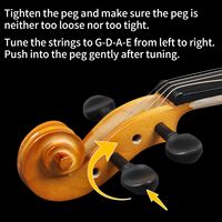 Full Size 4/4 Violin Set Adults Beginners Students Hard Case Bow Shoulder Rest Extra Strings Sordine Model D0100HPMH0W