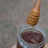 Cuillère à sirop d'érable élégante et moderne, faite à la main, jetable, en bois écologique, pour le miel, le thé et le café, prix réduit