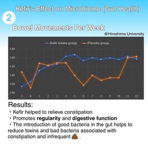 Nhật Bản gốc Kefir Starter văn hóa sữa chua Probiotic cho tiêu hóa, sức khỏe đường ruột và miễn dịch không thêm đường - Product Image 5