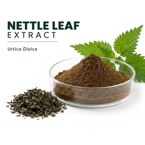 Poudre d'extrait de feuille d'ortie Urtica Dioica de qualité alimentaire, séchée par pulvérisation, UV 60% Flavonoïdes 5% pour l'alimentation santé - Product Image 1