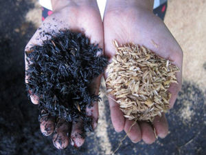 Meilleure vente balle de riz cendre RHA granulés de silice 80% SiO2 Vietnam déchets agricoles copeaux de cendres fumées usage horticole en gros - Product Image 4