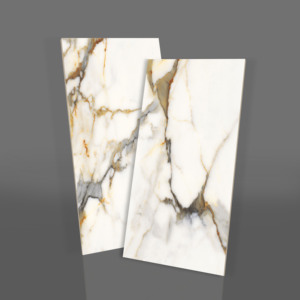 Carreaux muraux contemporains en porcelaine mate avec texture imitation pierre noir-vert pour salle de séminaire. - Product Image 1