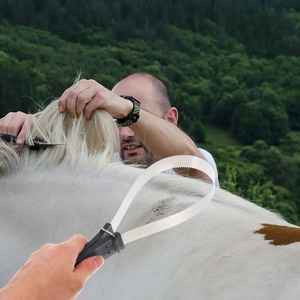Professional <b>Horse</b> <b>Hair</b> Scraper <b>Brush</b> Stainless Steel Shedder Grooming Tool De-Shedding Sweat Scraping and - Product Image 6