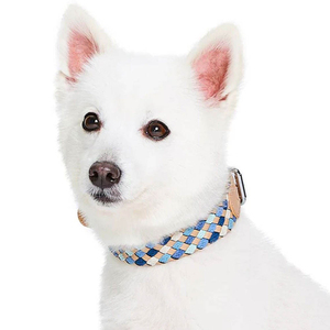 Braided Design Comfortable To Wear Pet Collar Affordable Rates Premium Pet Accessories <b>Dogs</b> Leather Collar - Product Image 4