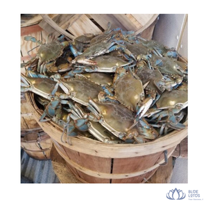[MEJOR VENTA] |   Cubo de Madera Ecológico para Cangrejos, Contenedor para Mariscos y Almacenamiento de Frutas para Mercado y Restaurante de Blue Lotus Far - Product Image 1