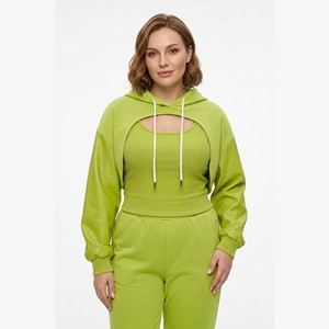 Hoodie personnalisé 420 g/m² en coton et polyester molletonné, coupe courte pour marques streetwear, manches ajustées - Product Image 1