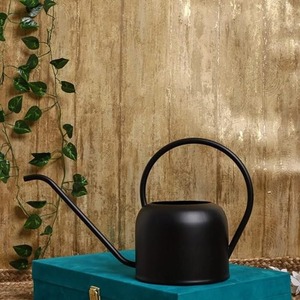 Regadera Elegante de Metal Premium con Boquilla Larga para Jardín, Regadera para el Cuidado de Plantas de Interior, Herramienta Decorativa para Jardín Exterior - Product Image 4