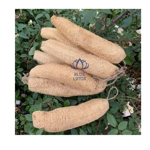 LIVRAISON IMMÉDIATE Éponge Loofah Écologique Sûre et Propre 2026 Tampon en Fibre Végétale Pure Idéal pour l'Exfoliation Corporelle et la Vaisselle Vente Directe - Product Image 1