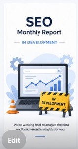 Informe Mensual Profesional de SEO para Internet con Información de Rendimiento Accionable - Product Image 2