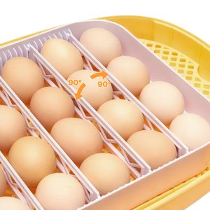 ตู้ฟักไข่ 24 ฟอง พร้อมไฟ LED ตรวจสอบไข่ ระบบพลิกไข่อัตโนมัติ ควบคุมอุณหภูมิและความชื้น หน้าต่างใสมองเห็นได้ 360 องศา อัตโนมัติ - Product Image 4