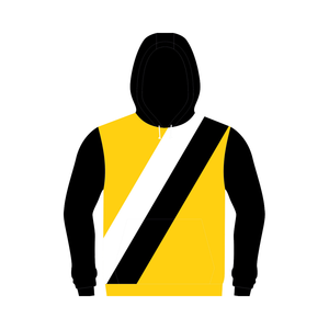 Sudadera con capucha de lana de algodón lavado ácido Vintage de gran tamaño personalizada de alta calidad 1 temporada aspecto desteñido de talla grande para mujer de punto con capucha - Product Image 2