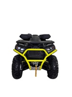2023 tout Terrain 4x4 véhicule hors route Utv véhicule utilitaire pour tous les Terrains FX400 PREDATOR carburant plage Buggy