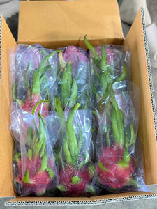 ผลไม้มังกรสดจากเวียดนามเนื้อสีขาวและสีแดงเกรดส่งออกมีจำหน่ายรสหวานส่งทางเรือหรืออากาศ - Product Image 3