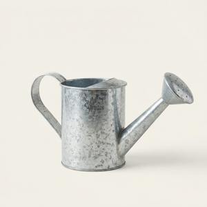 Arrosoir en métal galvanisé durable pour plantes d'intérieur et d'extérieur, design vintage antique, pot à eau en fer avec long bec verseur - Product Image 1