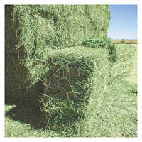 Fournisseur en gros de foin d'alfalfa séché pour les exploitations agricoles commerciales et les acheteurs d'aliments pour animaux