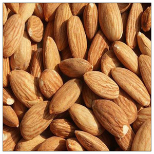 Amandes fraîches et croustillantes directement de la ferme pour l'exportation internationale - Product Image 1