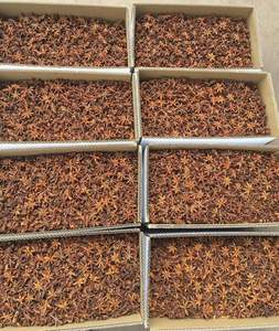 Anís estrellado de nueva cosecha de Vietnam, calidad premium para otoño y primavera, especias alimenticias especiales, precio de fábrica, cantidad a granel - Product Image 6