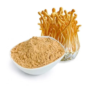 Poudre de Cordyceps Pure, Extrait Naturel de Plantes, Qualité Supérieure, Stimulant Immunitaire pour Compléments Alimentaires et Nutraceutiques - Product Image 1